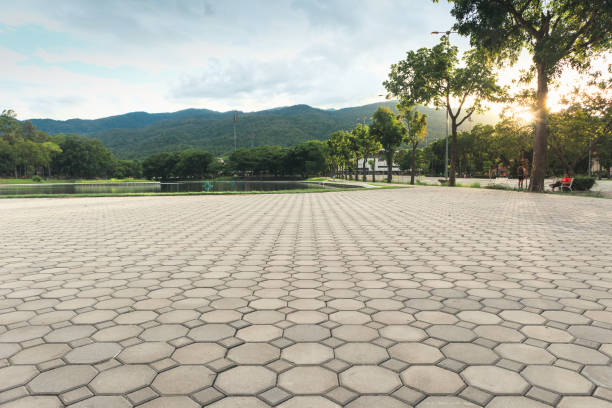 Best Driveway Paver Sealing  in Welch, WV